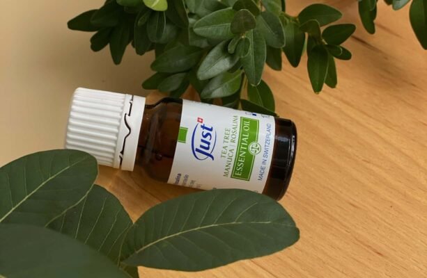 ### Чайне дерево від прищів: природний засіб для здорової шкіри