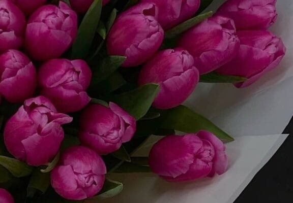 Чудові вітальні картинки з Днем Народження для любої куми