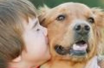 Чи можливе зараження токсокарозом між людьми: правда та міфи