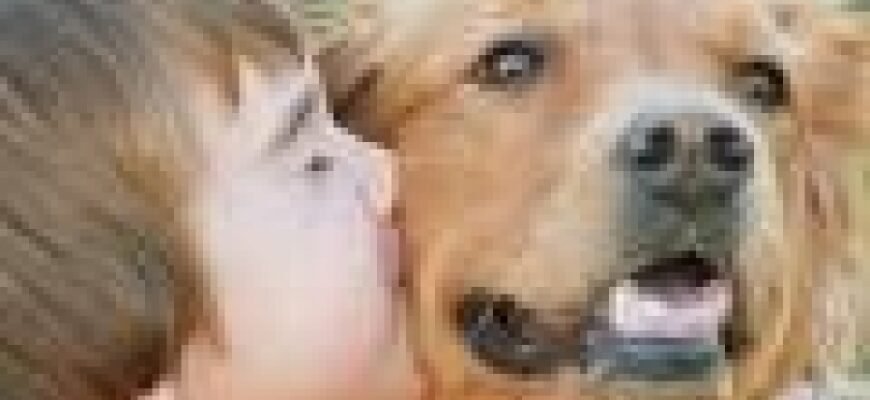 Чи можливе зараження токсокарозом між людьми: правда та міфи