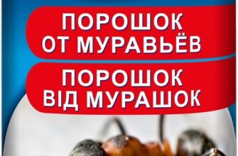Де купити ефективний засіб проти мурах: поради та рекомендації
