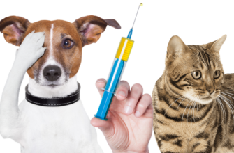 Доступна ціна на вакцину проти сказу для собак у 2023 році.