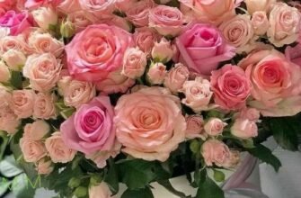 Душевні вітання з Днем народження жінці: найкращі побажання в прозі