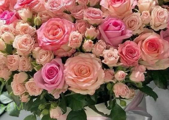 Душевні вітання з Днем народження жінці: найкращі побажання в прозі