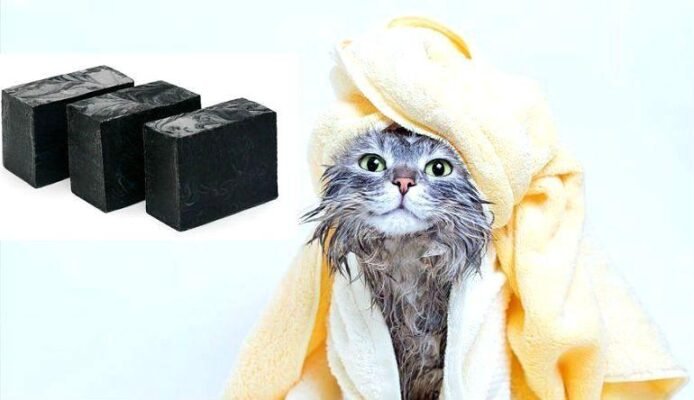 Дустове мило від вошей: ефективний засіб для боротьби з паразитами