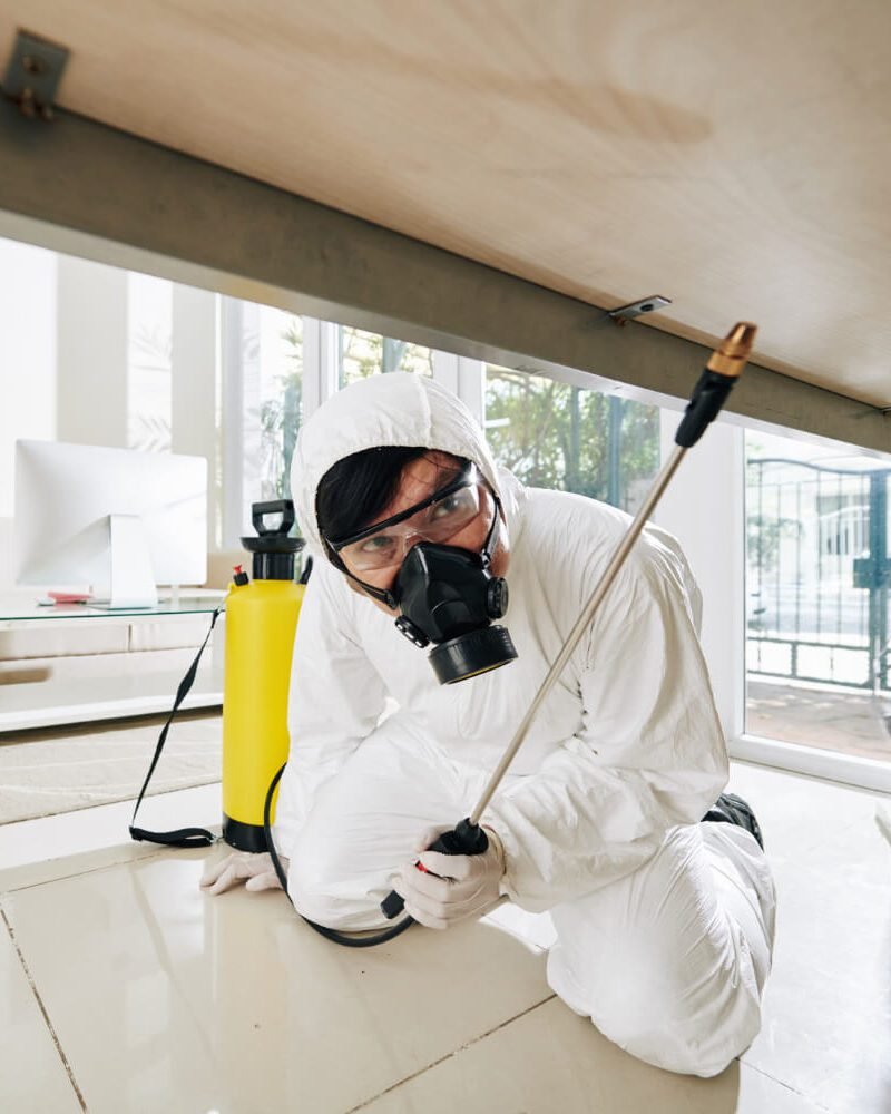 ↘️ Наша Служба Дезінфекції надає послуги дезінфекції ...