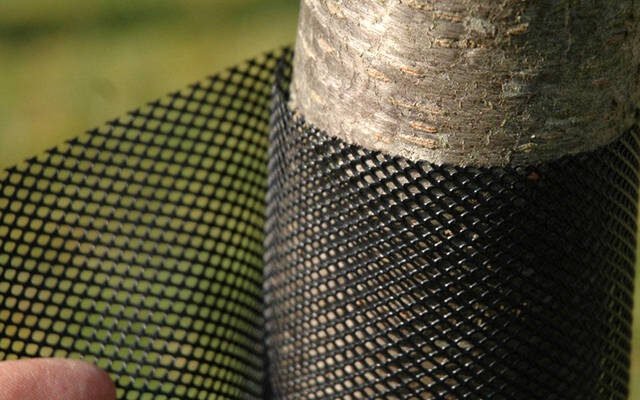 Ефективна сітка для захисту дерев від зайців: поради та рекомендації
