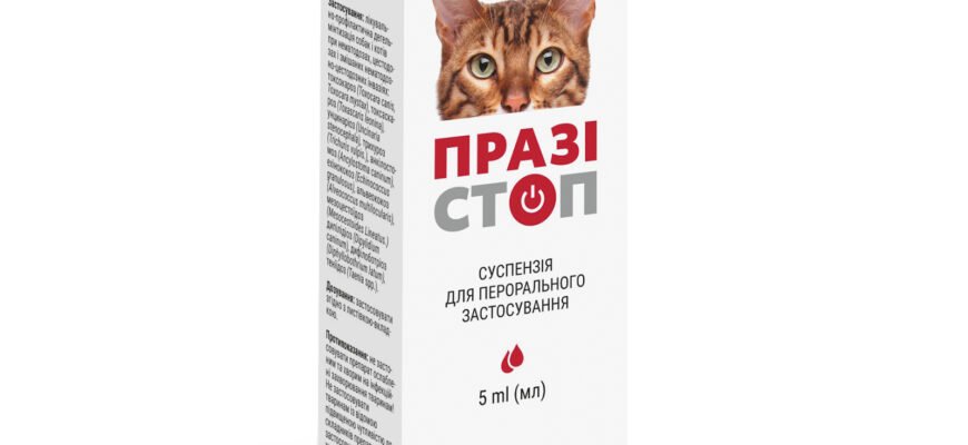 Ефективна суспензія від глистів для кошенят: поради з вибору та застосування