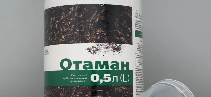Ефективні гербіциди для боротьби з берізкою: огляд і рекомендації