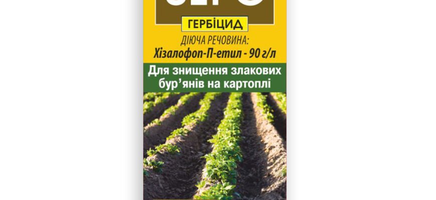 Ефективні гербіциди для боротьби з бур’янами на картопляних полях