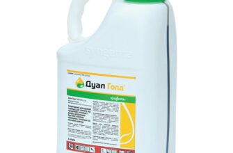 Ефективні гербіциди для боротьби з бур’янами на картопляних полях