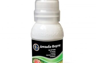 Ефективні гербіциди для боротьби з кульбабами: вибір та застосування