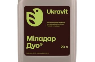 Ефективні гербіциди для контролю бур’янів у кукурудзі: огляд засобів
