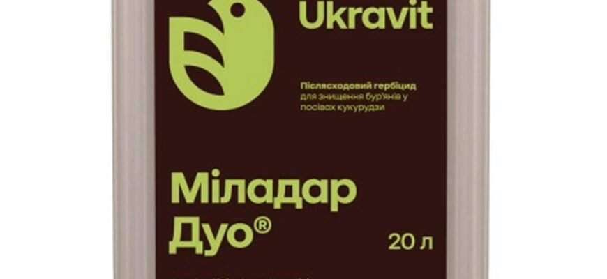 Ефективні гербіциди для контролю бур’янів у кукурудзі: огляд засобів