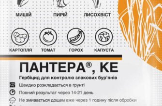 Ефективні гербіциди для захисту картоплі від бур’янів: повний огляд