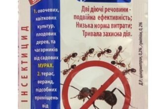 Ефективні інсектициди для боротьби з мурахами: огляд та поради