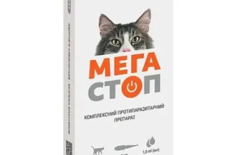 Ефективні краплі від бліх та кліщів для котів: огляд та поради