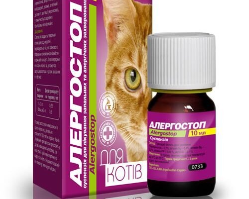 Ефективні ліки від алергії для котів: як обрати найкращі засоби