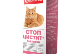 Ефективні ліки від циститу для котів: огляд перевірених засобів