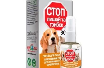 Ефективні мазі від лишаю для собак: вибір та лікування хвороби