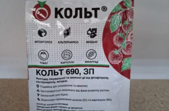 Ефективні методи боротьби з фітофторою: використання препарату Кольт