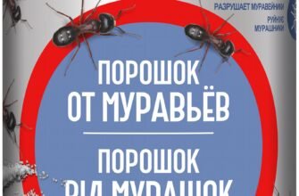 Ефективні методи боротьби з мурахами: поради та рекомендації