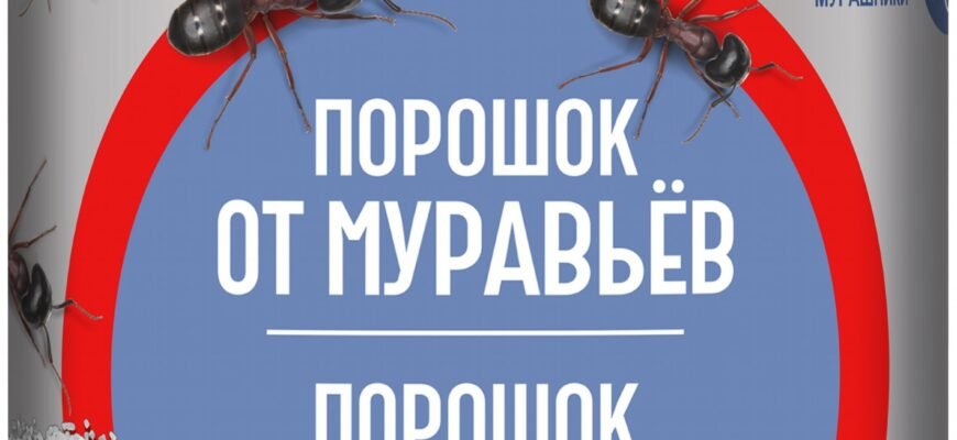Ефективні методи боротьби з мурахами: поради та рекомендації