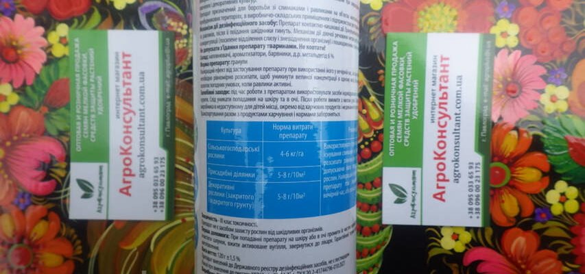 Ефективні методи боротьби зі слимаками: захистимо ваш сад разом