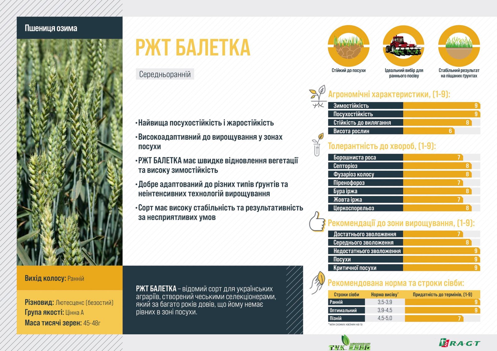 Фунгіцидний захист озимої пшениці від DEFENDA