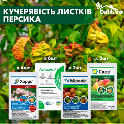 Ефективні методи весняної обробки персиків від кучерявості листя