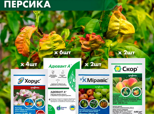 Ефективні методи весняної обробки персиків від кучерявості листя