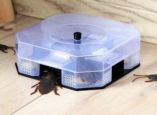 Ефективні пастки для тарганів: як вибрати та встановити правильно Ефективні пастки для тарганів: як вибрати та встановити правильно