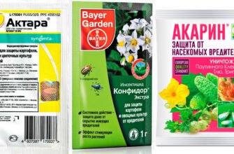 Ефективні препарати для боротьби з білокрилкою на капусті