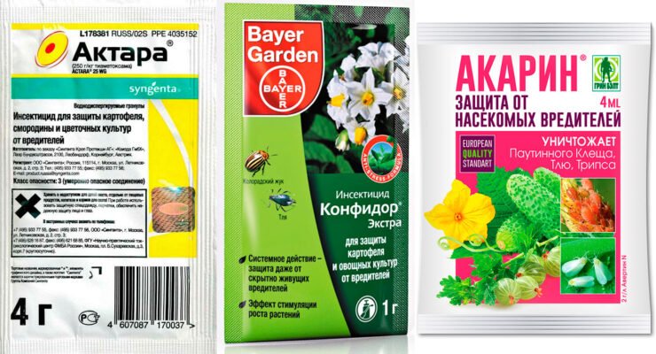 Ефективні препарати для боротьби з білокрилкою на капусті