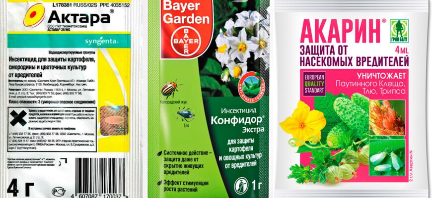 Ефективні препарати для боротьби з білокрилкою на капусті