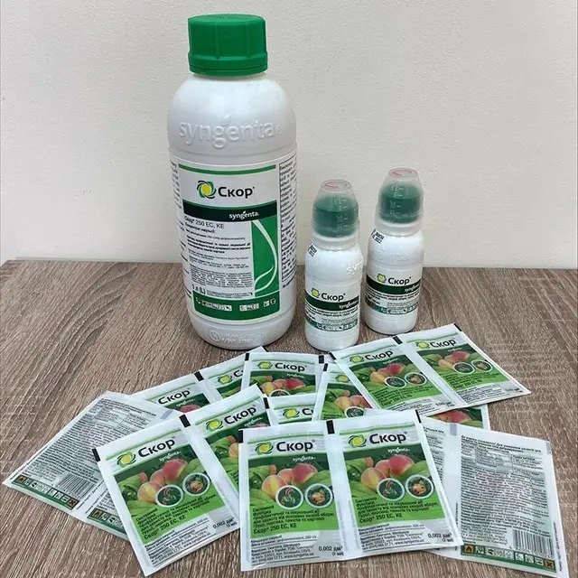 Кращі препарати для захисту рослин, що мають бути у садівника!