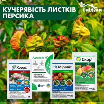Ефективні препарати для боротьби з кучерявістю листя персика