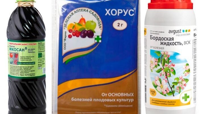 Ефективні препарати для боротьби з моніліозом абрикосів: огляд та поради