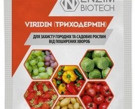 Ефективні препарати для лікування та захисту малини від хвороб