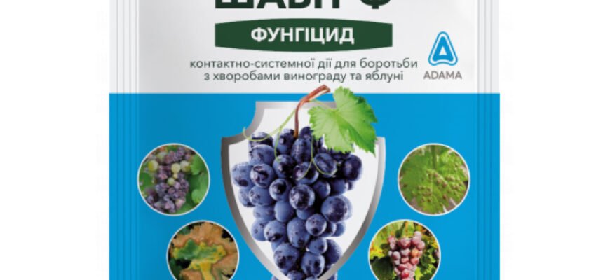 Ефективні препарати для захисту винограду від кліщів: як обрати?