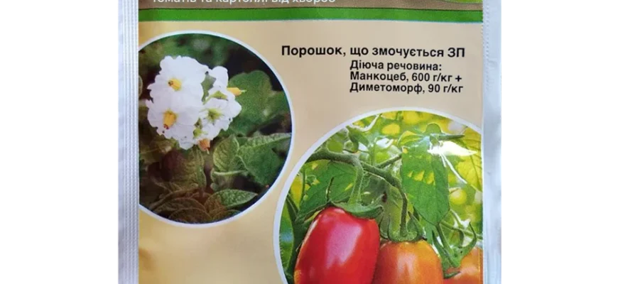 Ефективні препарати проти фітофтори для захисту вашої картоплі