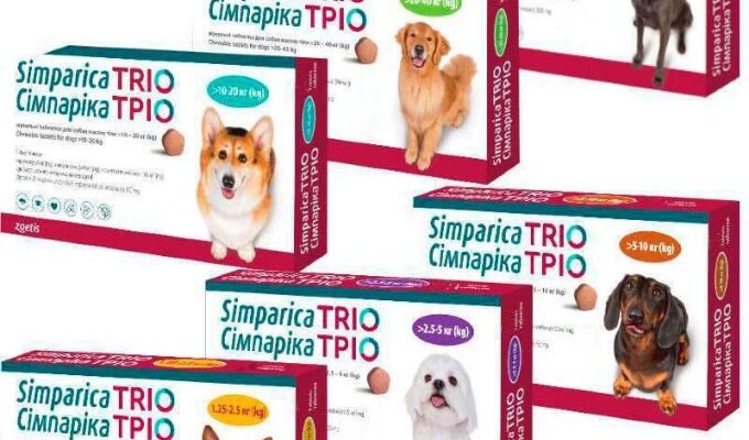 Ефективні препарати від глистів для собак: огляд та рекомендації