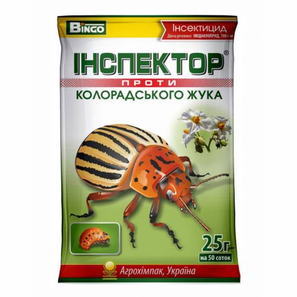 Хотілося б, щоб колорадський жук та інші шкідники вимерзли від ...