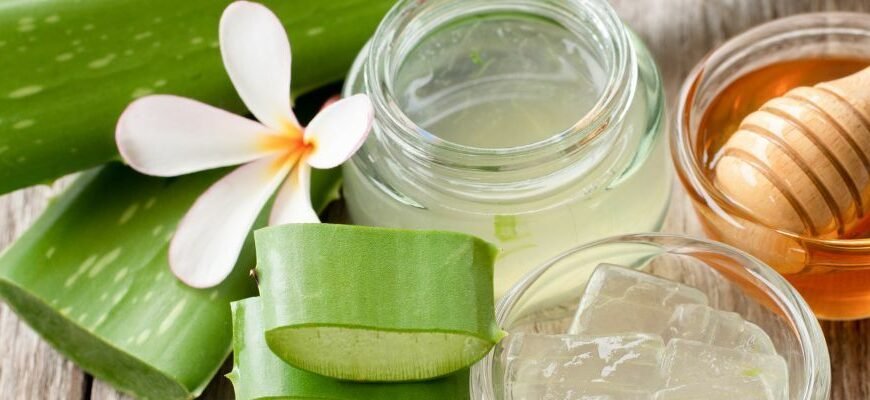 Ефективні рецепти: алое з медом від кашлю для дорослих і дітей