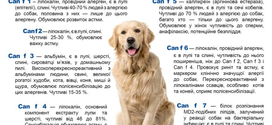 Ефективні рішення для лікування алергії у собак: поради і засоби