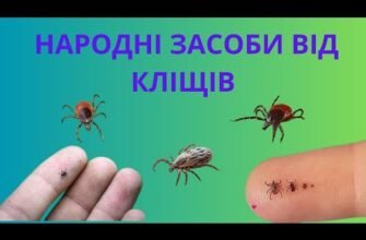 Ефективні смужки від кліщів: Захист вашої оселі та здоров’я тварин