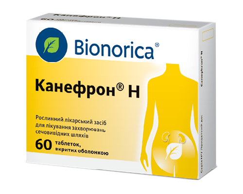 Ефективні способи виведення сечі: що допомагає ниркам?