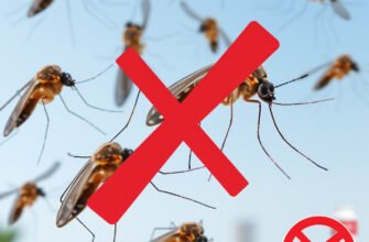 Ефективні способи захисту від комарів на вулиці: поради та засоби