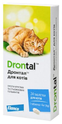 Ефективні таблетки для котів: як зменшити бажання до гуляння