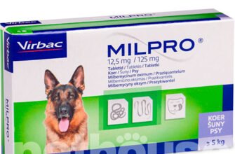 Ефективні таблетки для захисту собак від глистів: повний огляд засобів